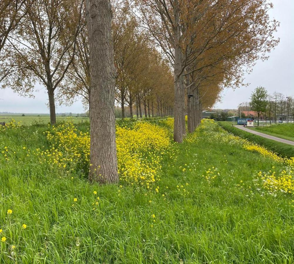 Simonshaven Benb Voorneputten מראה חיצוני תמונה